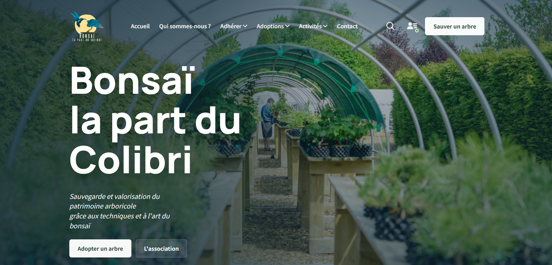 Page d'accueil du site Bonsaï la part du Colibri